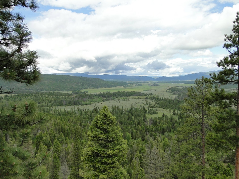 Gehring Ranch conservation easement