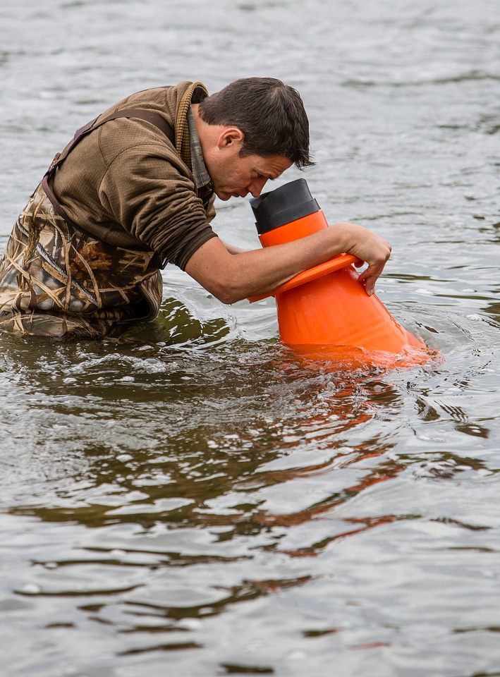 Biologists search for freshwater mussels in the Jefferson River-1