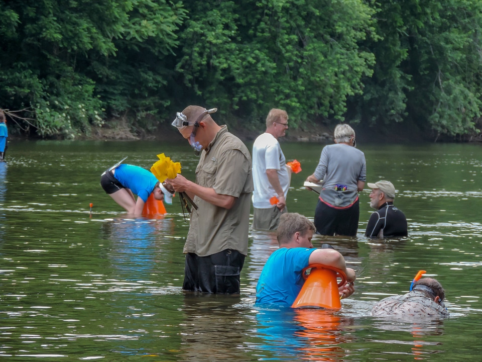 Students surveying freshwater mussels-1