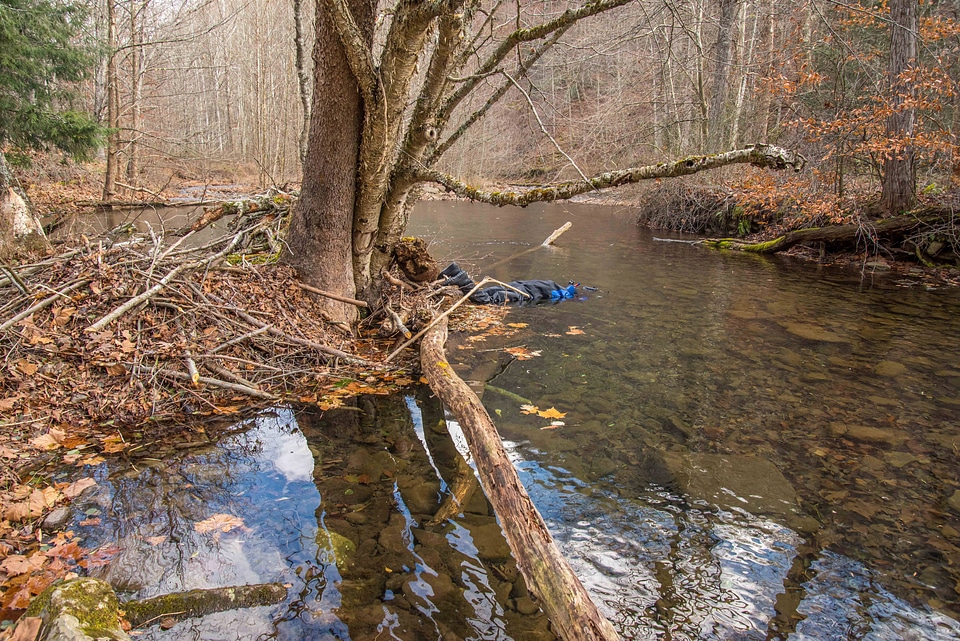 Photographer taking underwater pictures of brook trout in Seneca Creek