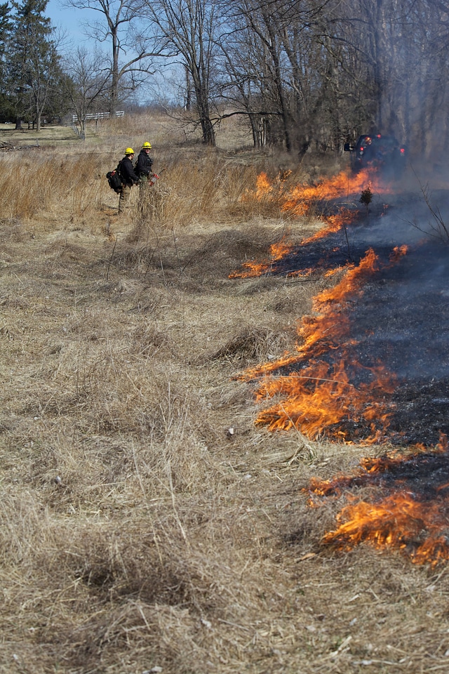 Fire crew at prescribed burn