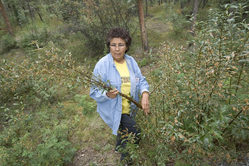 Woman gathering branches
