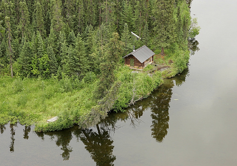 Cabin in the woods