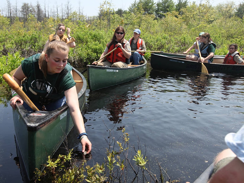 Blanding's turtle release-3