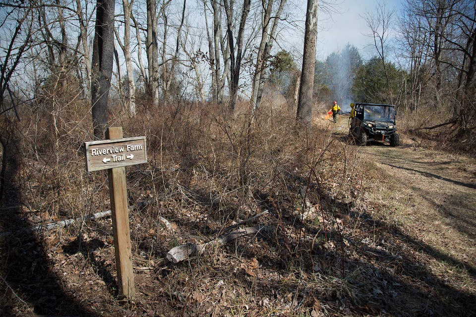 Prescribed burn at NCTC -1