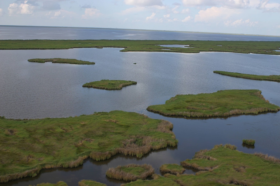 Aerial View of Marsh