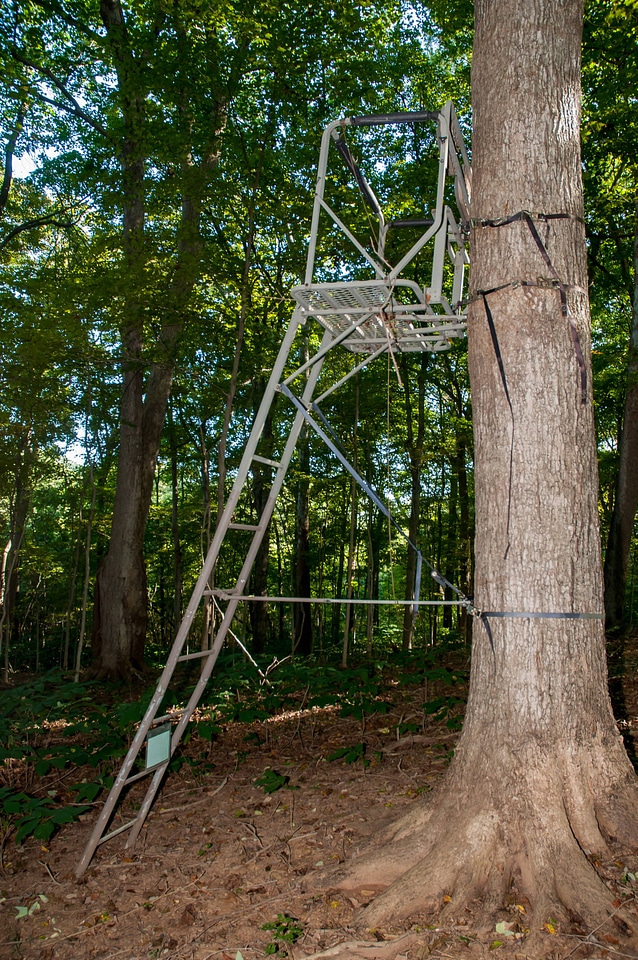 NCTC land management specialist inspecting deer stand for safety-1