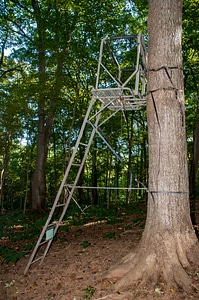 NCTC land management specialist inspecting deer stand for safety-1