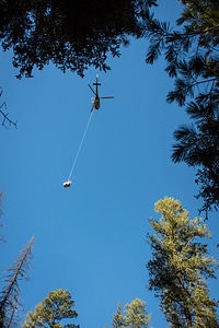 Helicopter lowers fish tank on cable