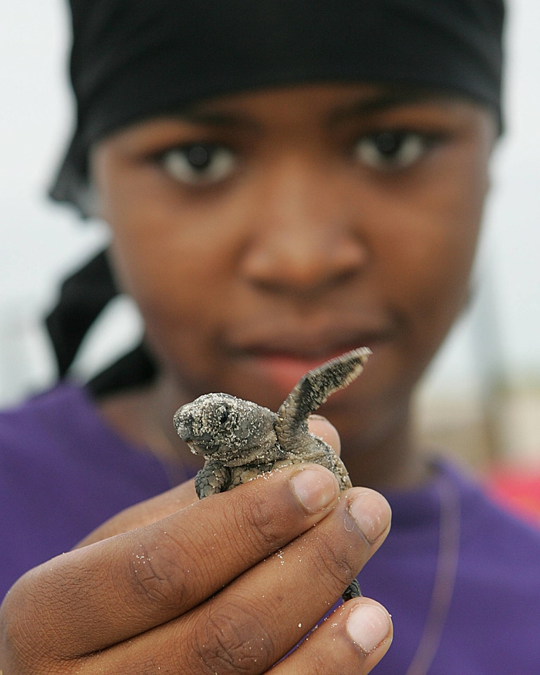 Volunteer with baby loggerhead turtle
