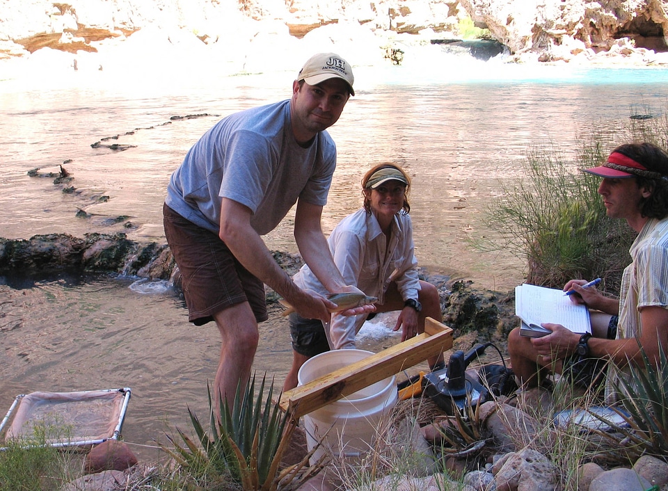 Volunteer holding a sub-adult humpback chub