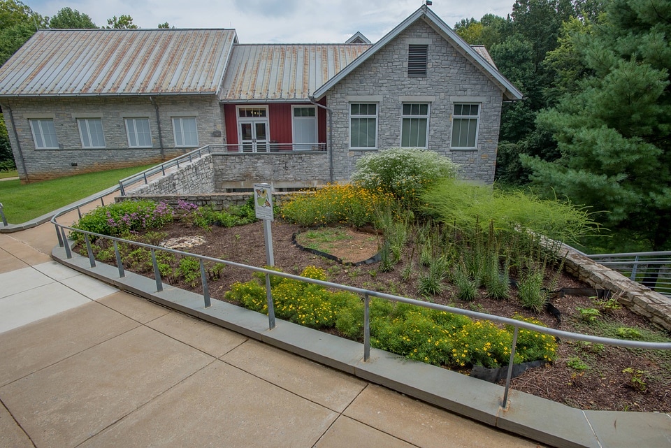 Monarch Waystation Garden