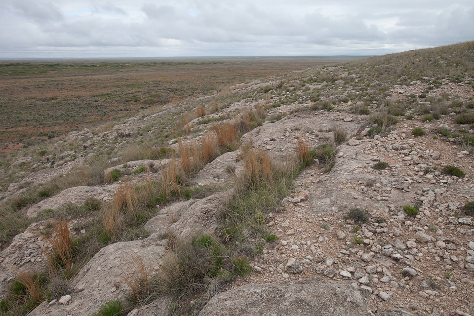 New Mexico landscape