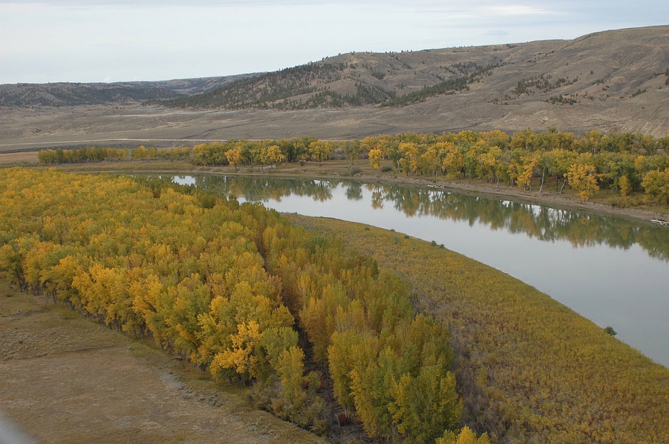 Fall tree line the Missouri River