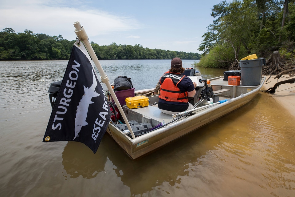 Biologists secure boat along shoreline