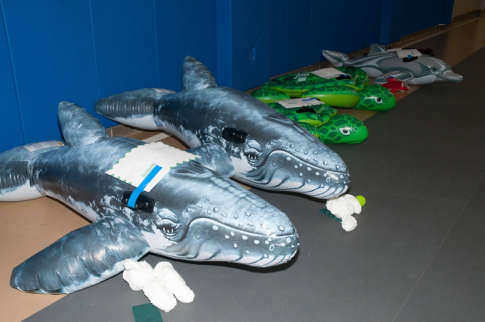 Marine Mammal Stranding Course at NCTC-2