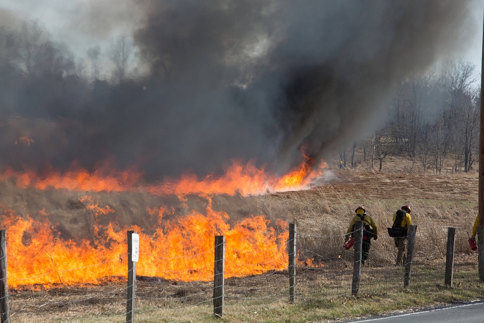 Prescribed burn at NCTC -1