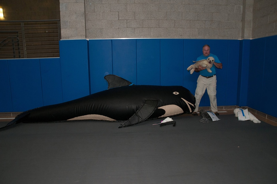 Marine Mammal Stranding Course at NCTC-2