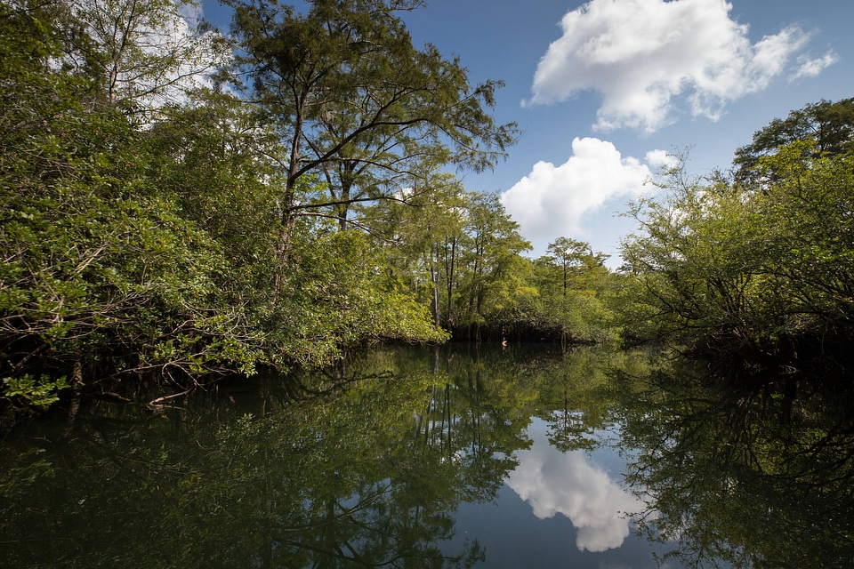 Choctawhatchee River