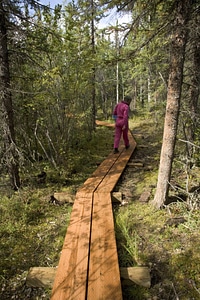 Visitor walking along wooden path through forest