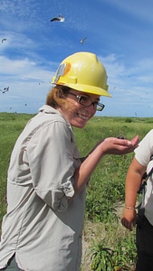 Visitor Services staff holds a Common tern chick-3