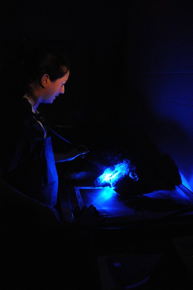 Ashland Forensics Lab-2