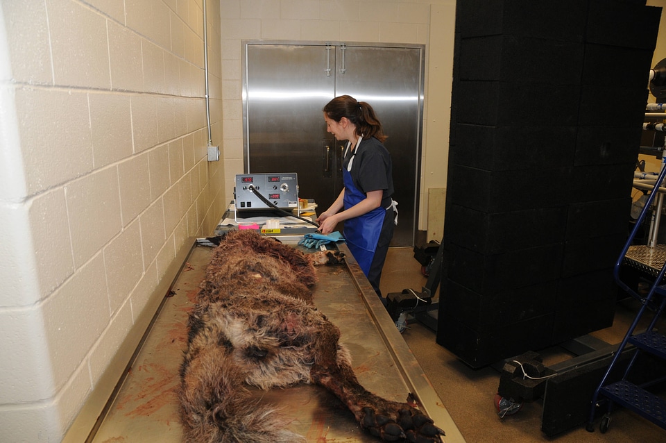 Ashland Forensics Lab-1