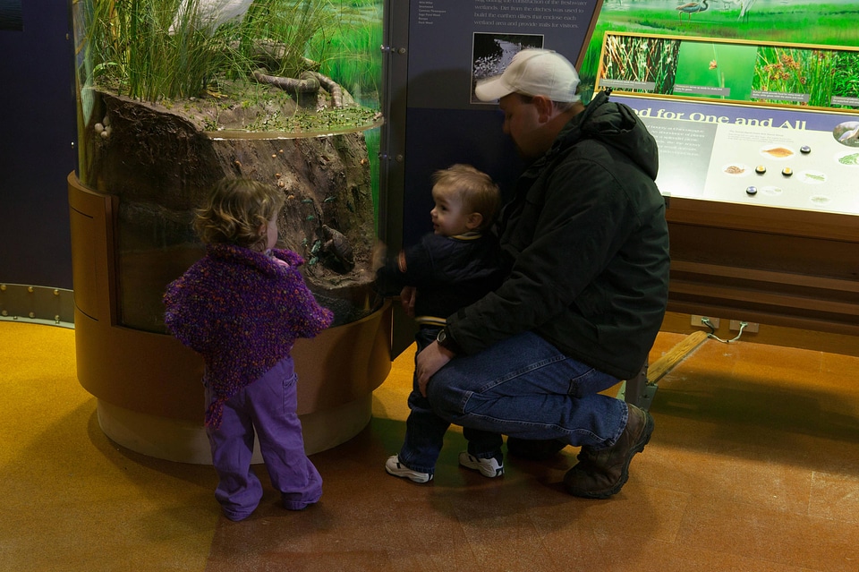 Family learning about an underwater exhibit at the Herbert H. Bateman Educational and Administrative Center