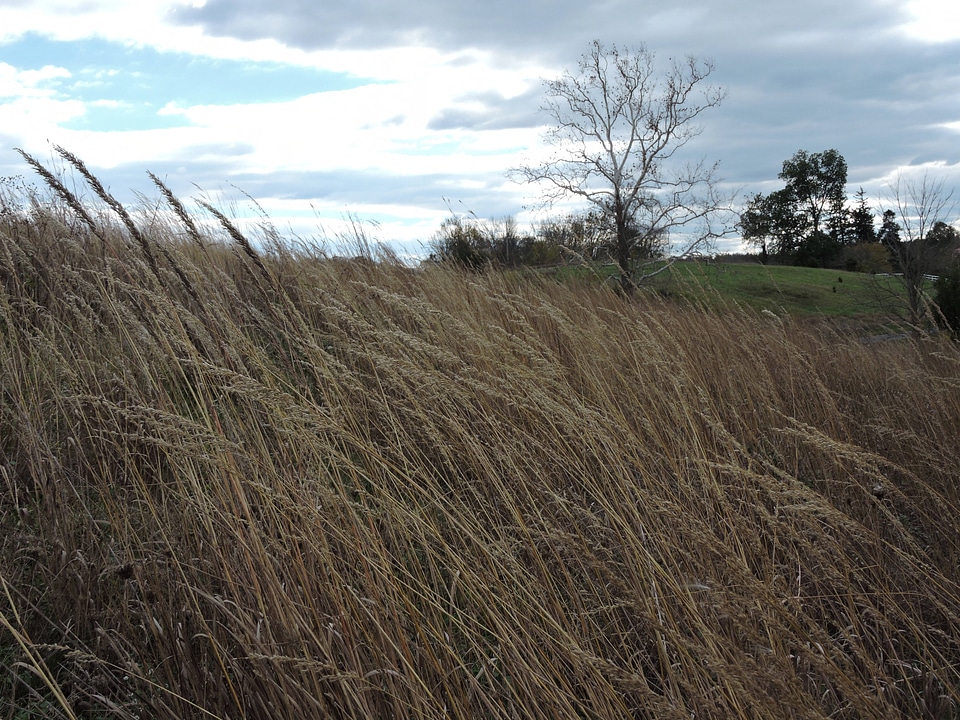 Trail at the National Conservation Training Center