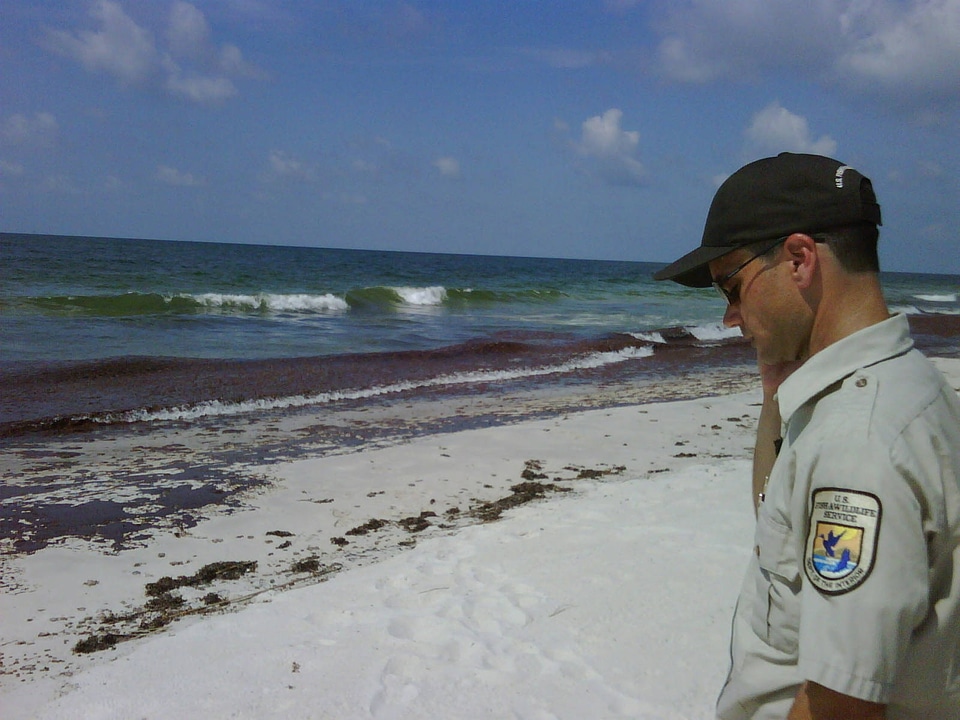 Oil located on beach
