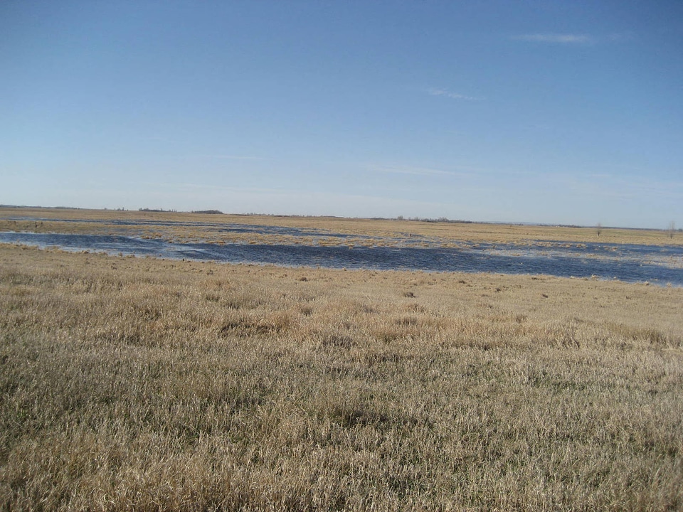 Easement in wetland