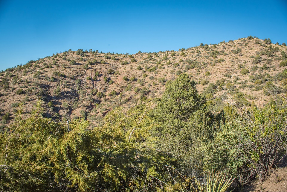 Gila National Forest in New Mexico-1