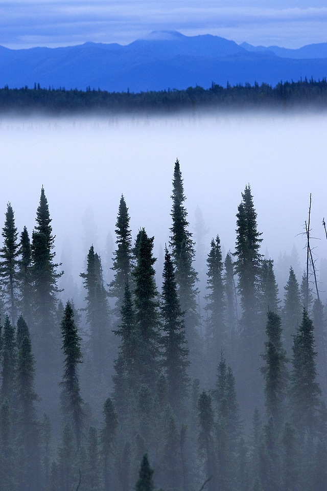 Beyond the fog is a beautiful landscape