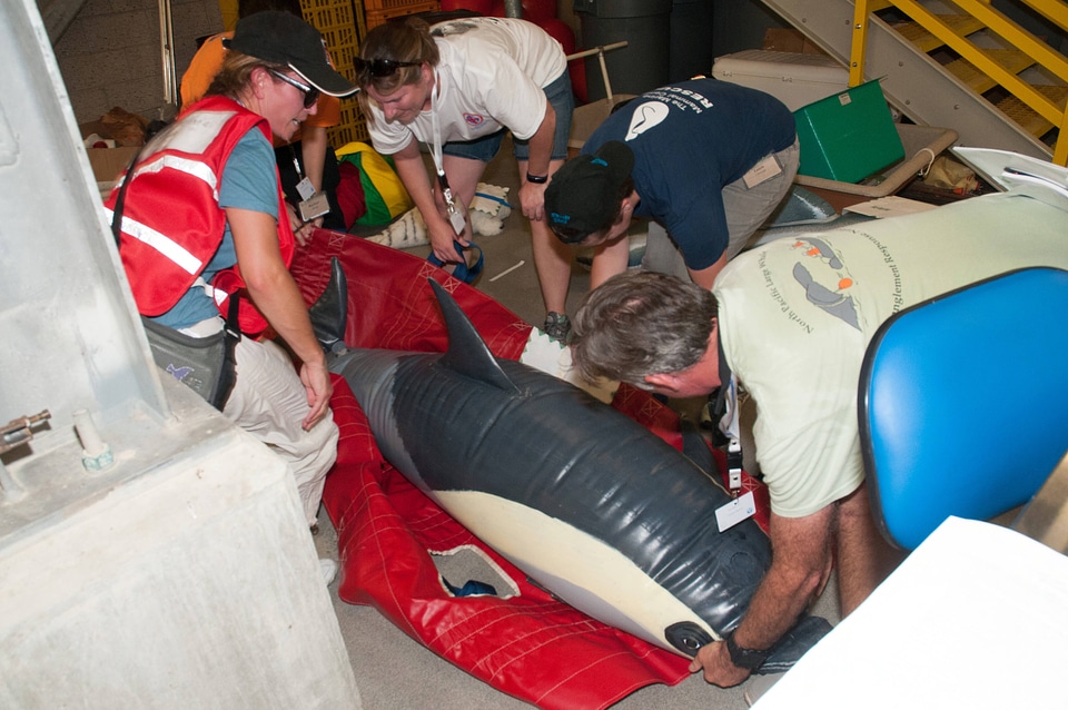 Marine Mammal Stranding Course at NCTC-1
