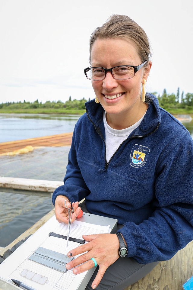 Biologists sample pacific salmon