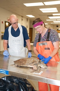 Marine Mammal Stranding Course at NCTC-1