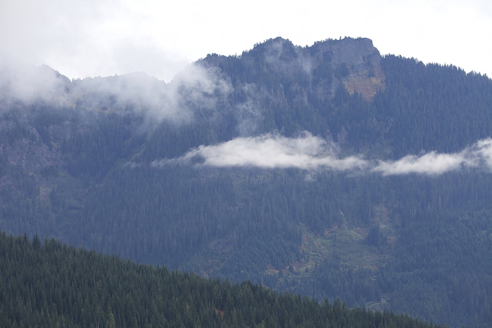 Mountain views of forested hillsides
