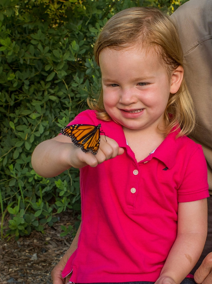 Monarch on hand of little girl