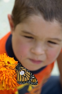 Tagged Monarch and child-1