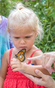 Little girl with tagged monarch on hand