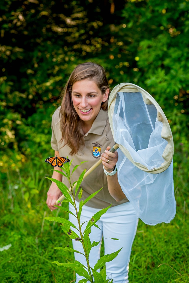 Monarch netting-1