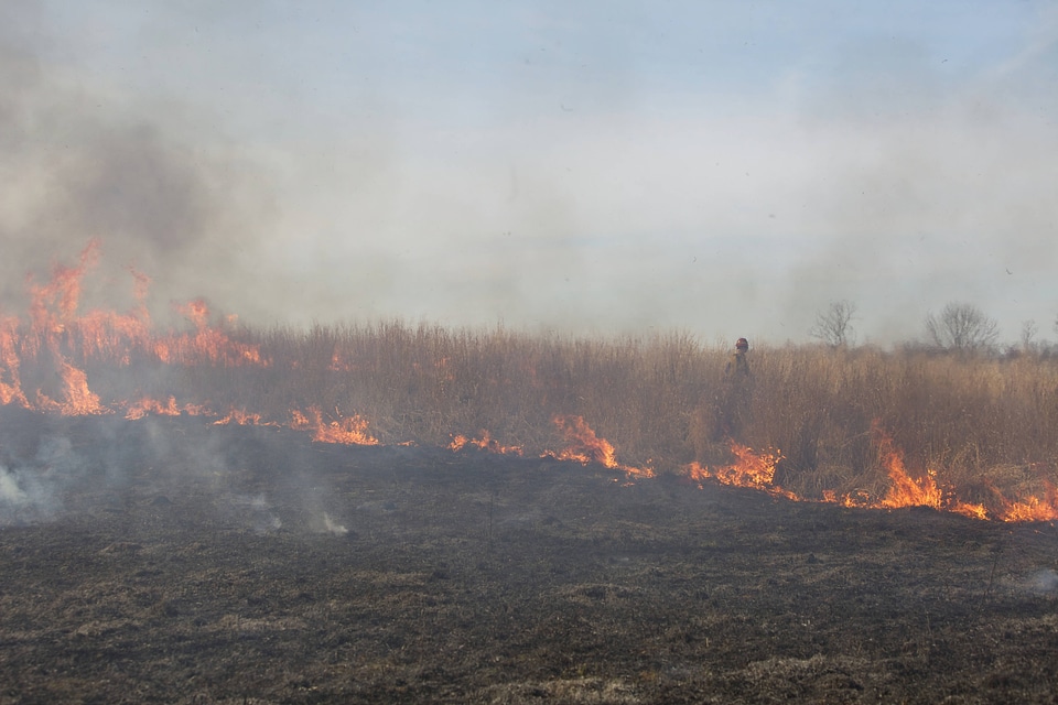 Burning field