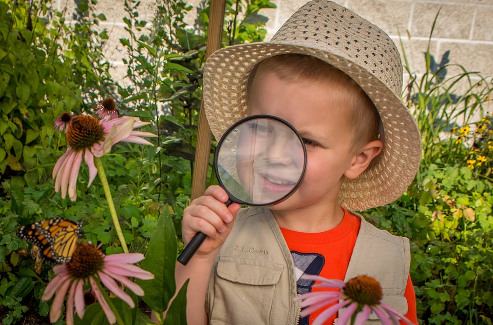 Little boy looks at monarch through an eyeglass