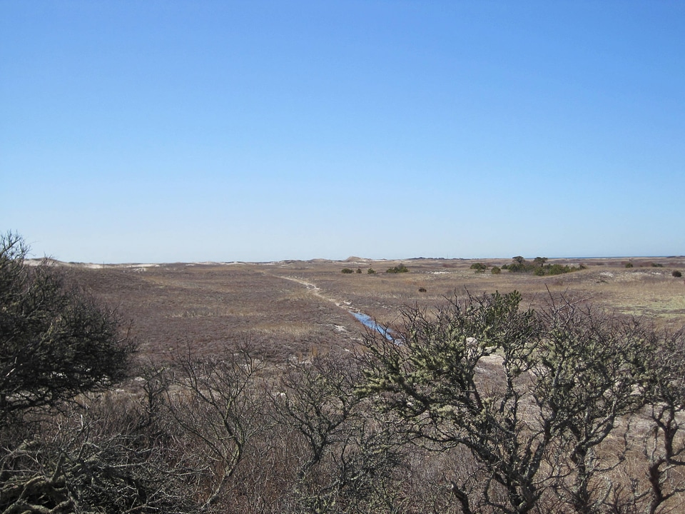 Monomoy National Wildlife Refuge