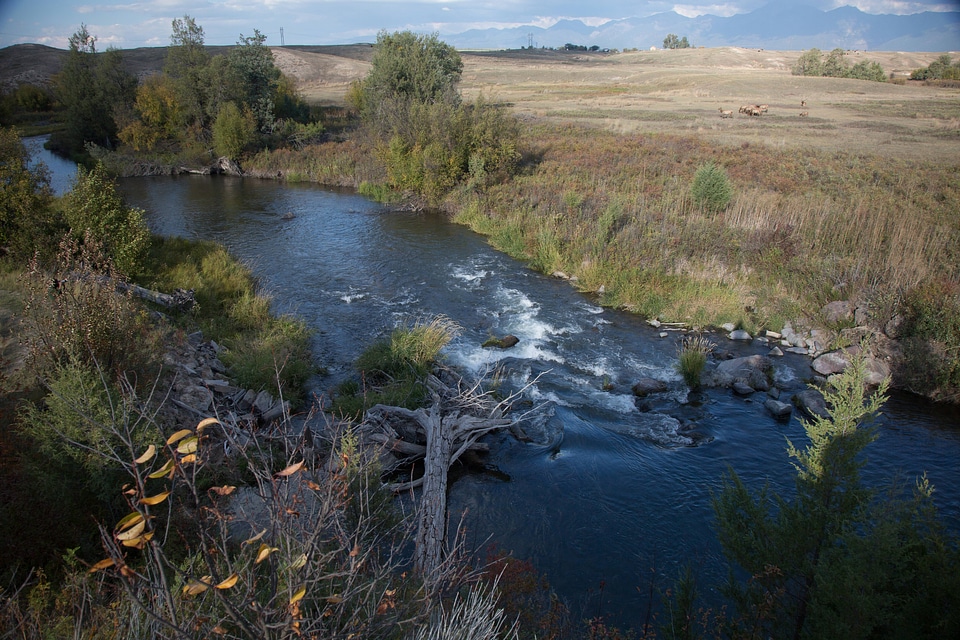 Wide shot of Mission Creek
