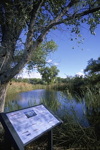Protecting native fish interpretative sign