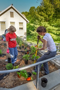 Volunteers planting a monarch garden