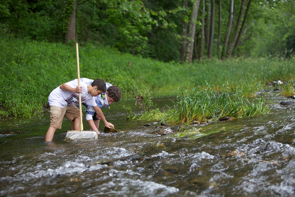Students look for macroinvertebrates
