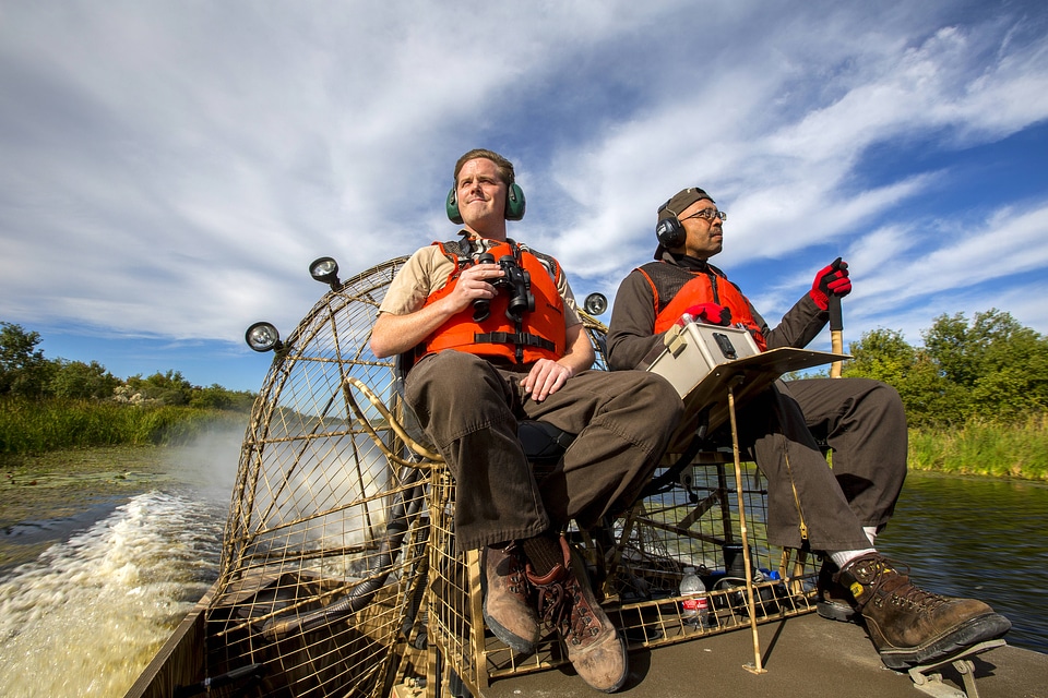 Employees maneauver an airboat at Bayou Sauvage NWR