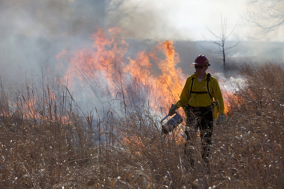Firefighter torching field-1